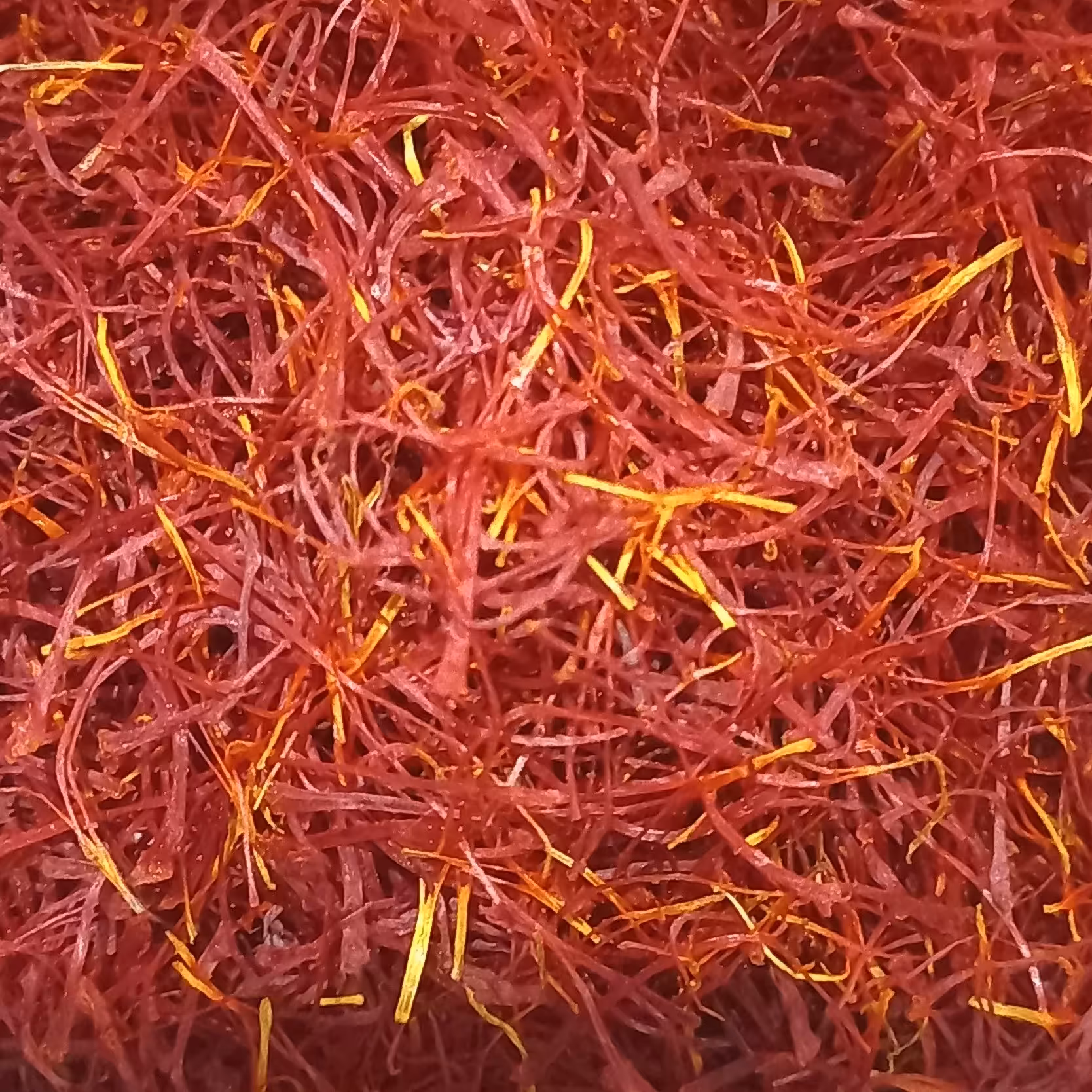 زعفران اصیل خراسان یک مثقال