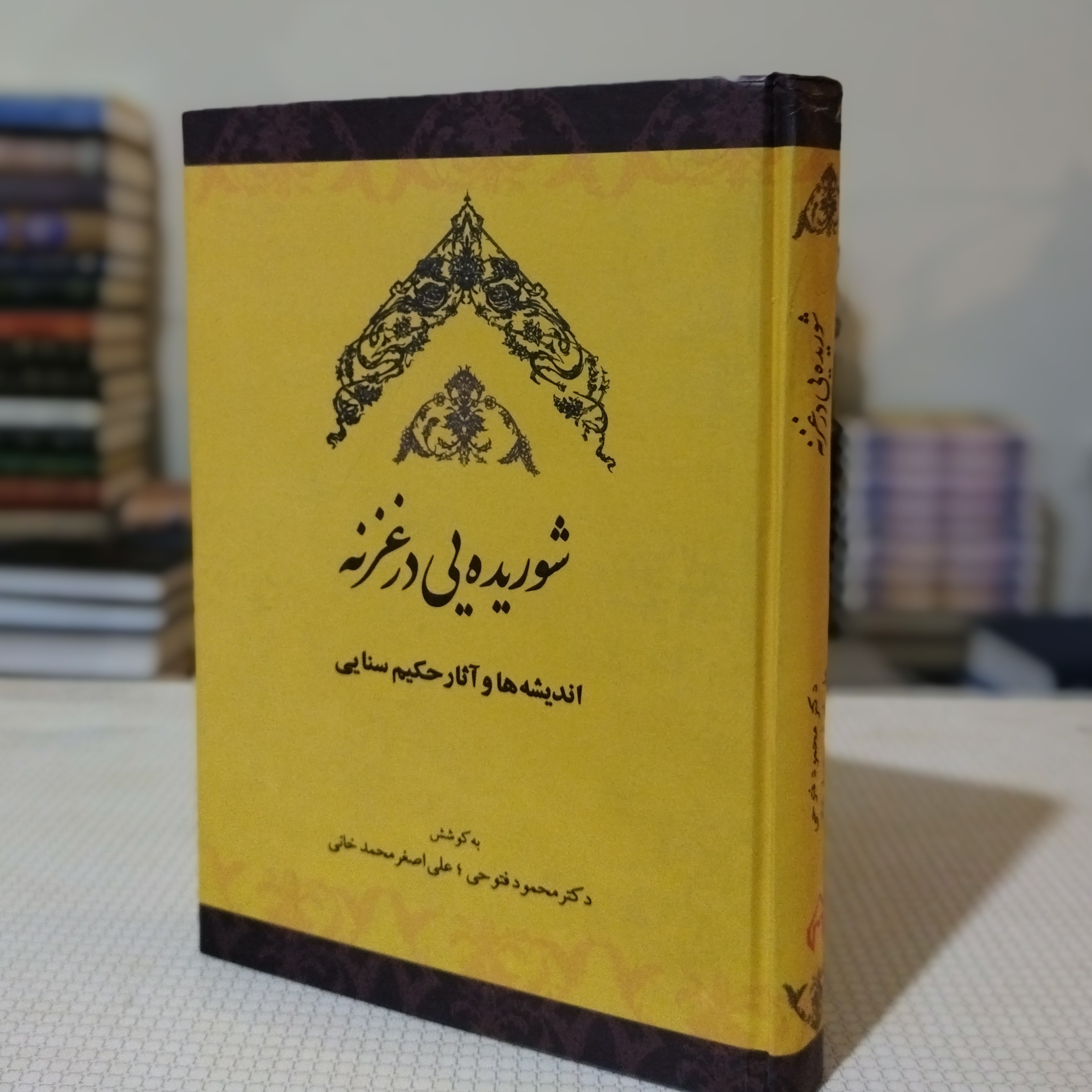 شوریده یی در غزنه، اندیشه ها و آثار حکیم سنایی