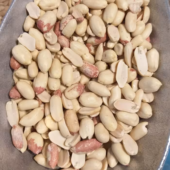 بادام زمینی پوست کنده درجه یک تازه آستانه اشرفیه