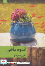 قیمت و خرید کتاب اندوه ماهی اثر تکین حمزه لو | ایده بوک