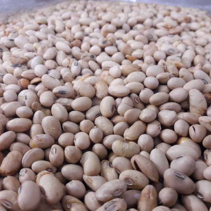 سویا آجیلی تردتازه(نیم کیلو)