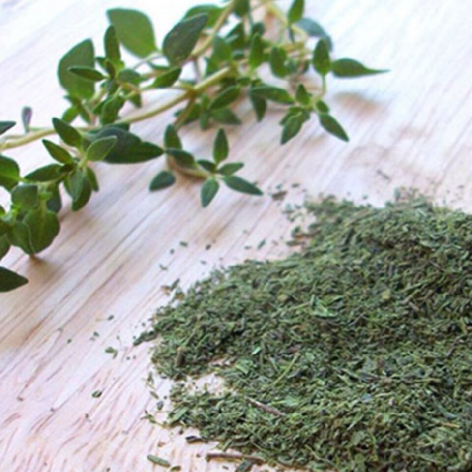 آویشن بسیار معطر و تمیز تهیه شده در باغچه گیاهان دارویی زواره 