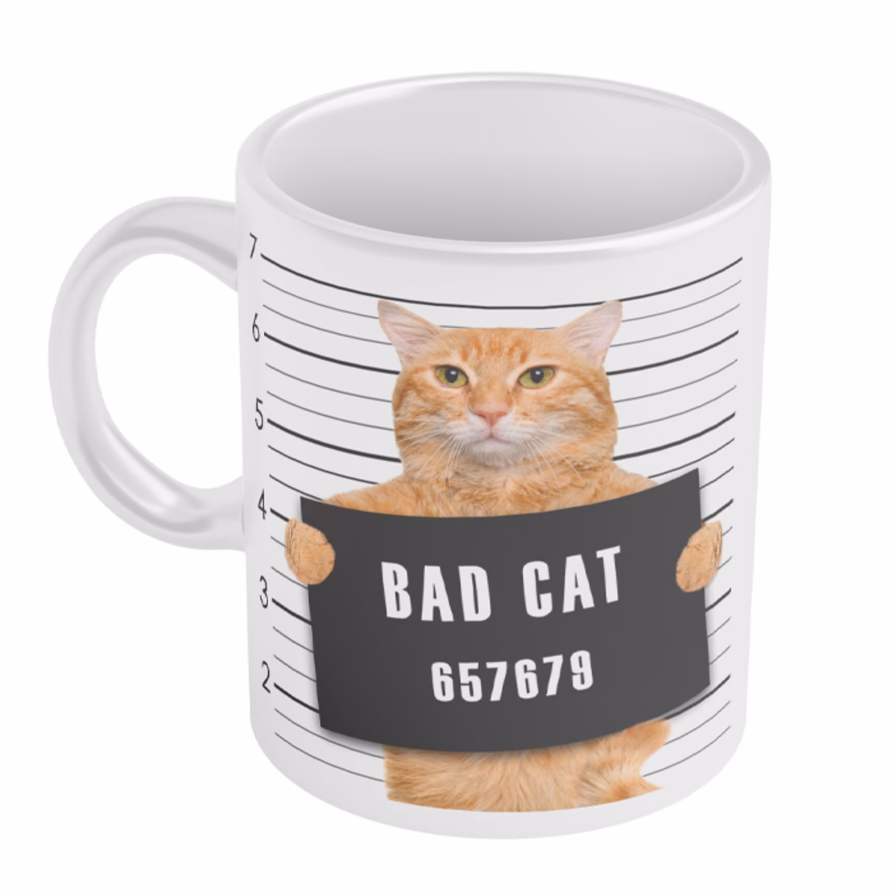 ماگ فانتزی طرح bad cat 024