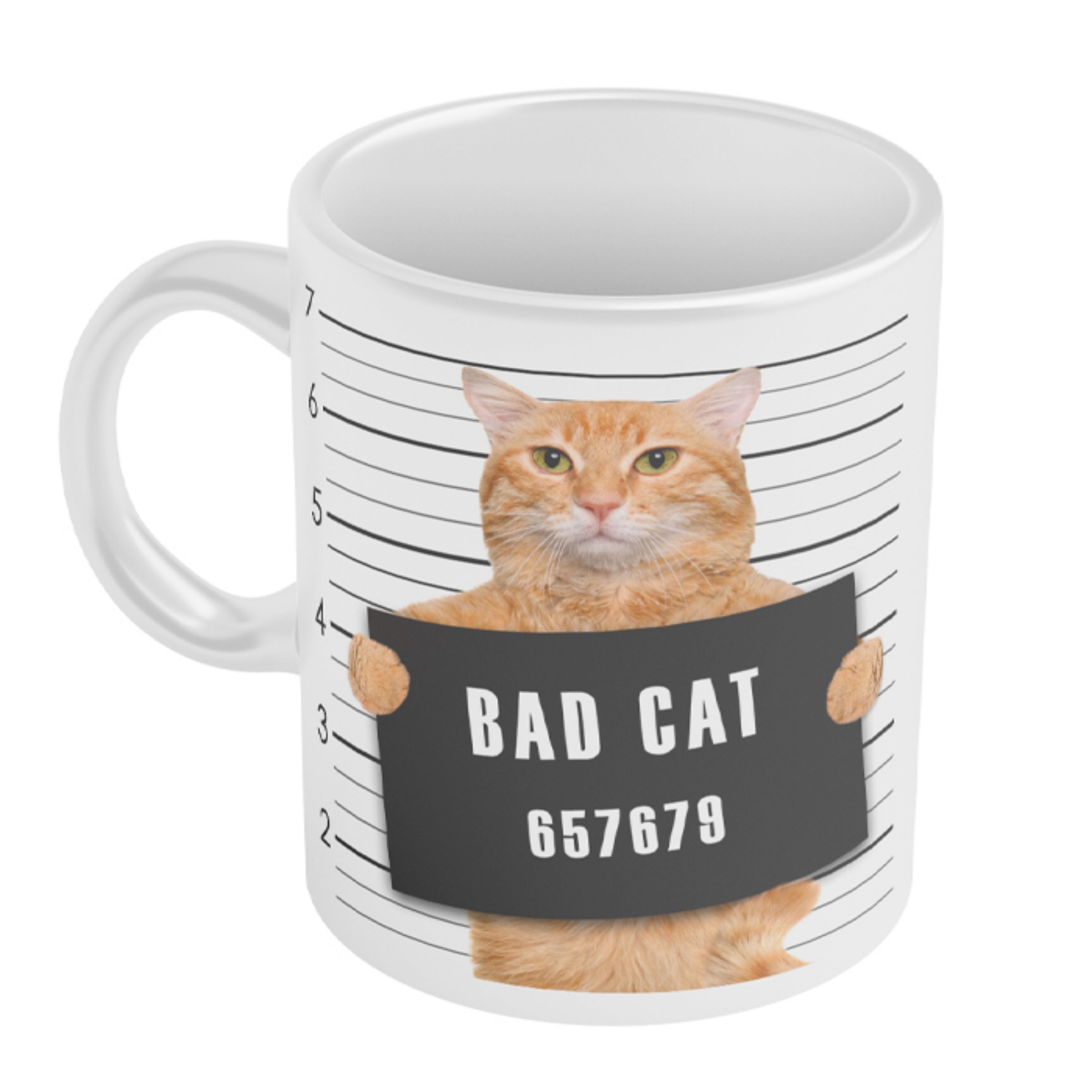 ماگ فانتزی طرح bad cat 024