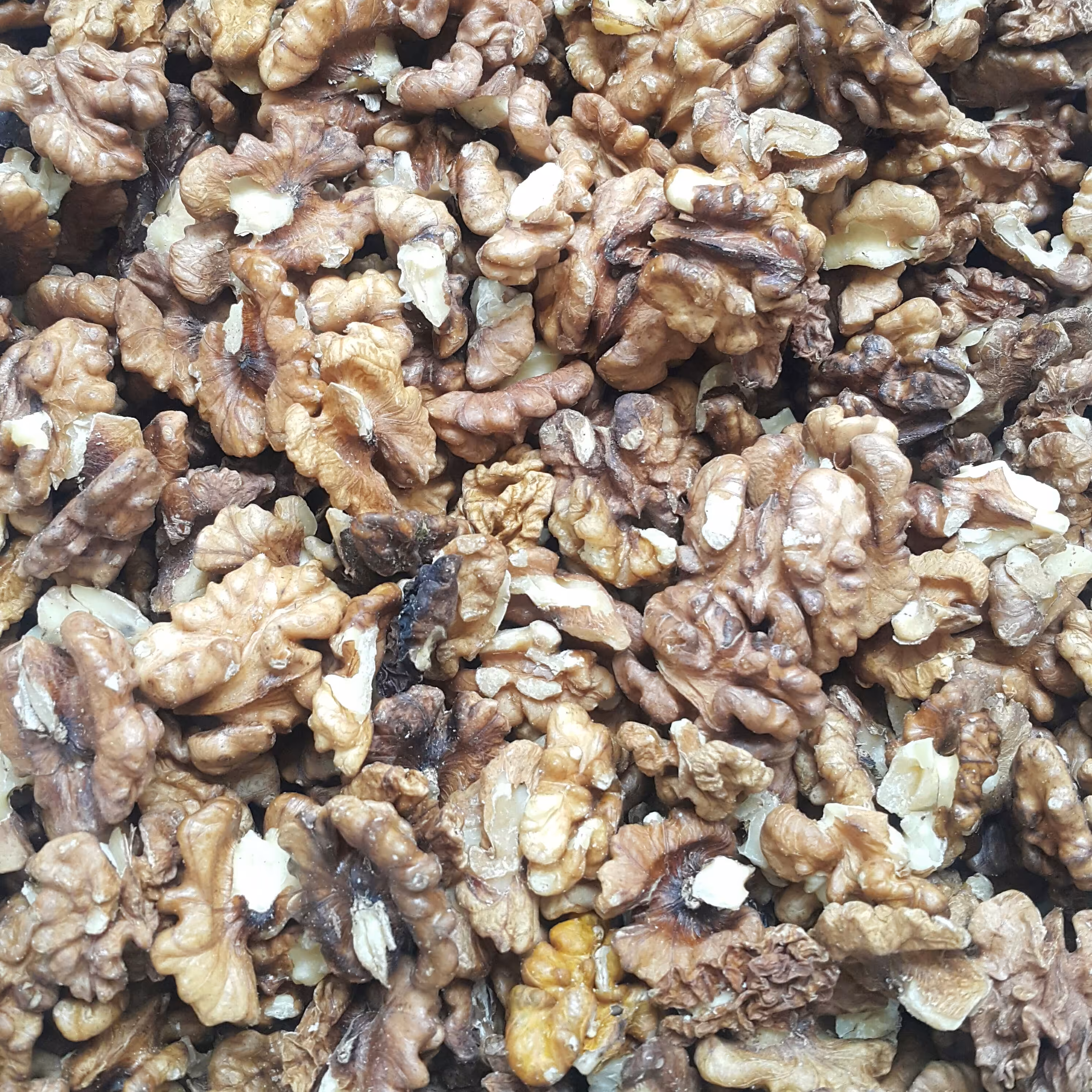 مغز گردو خورشتی (15 کیلو)
