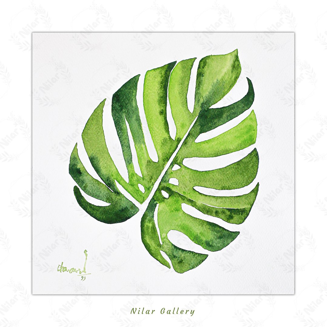 تابلو آبرنگ برگ انجیری