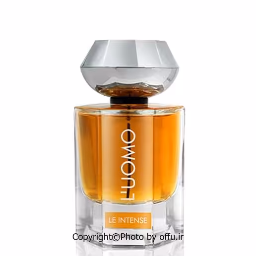 ادکلن مردانه فراگرنس ورد مدل لومو ل اینتنس LUOMO LE INTENSE حجم 100 میل