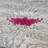 شانه مرواریدی سرخابی طرح تک نگین