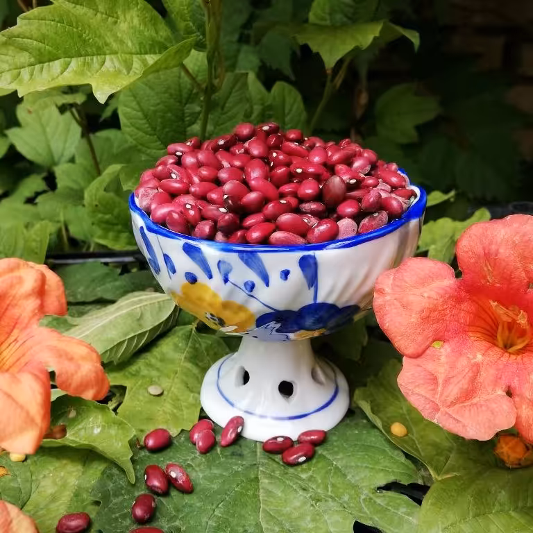 لوبیا قرمز(2کیلوگرمی) خوش پخت و تازه، ارسال رایگان 