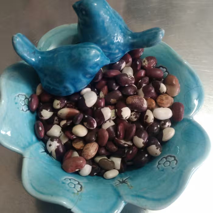 لوبیا چشم بلبلی دیم دهاتی و پاک کرده(900 گرمی)