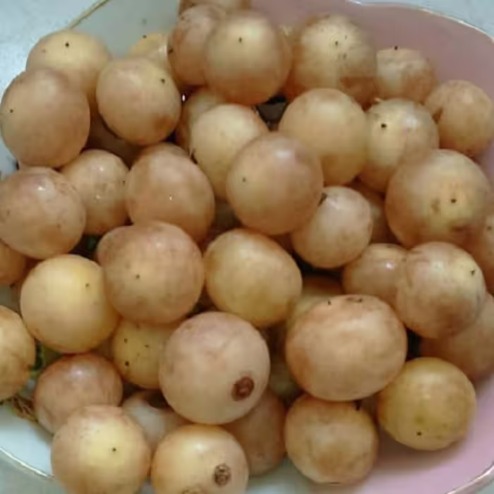 بذر کردیا ( سپستان) 10 عددی