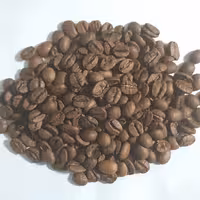 قهوه 100 درصد عربیکا مدیوم رست سانتوس برزیل ( 250 گرم )