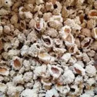 شکرتیغال درجه یک 35گرمی