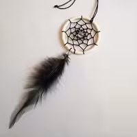 دریم کچر  جذب انرژی مثبت آویز جلو ماشین