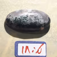 عقیق شجر دریایی  منظره کد 18