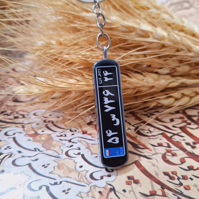 جاسوئیچی رزینی  پلا ک ماشین 