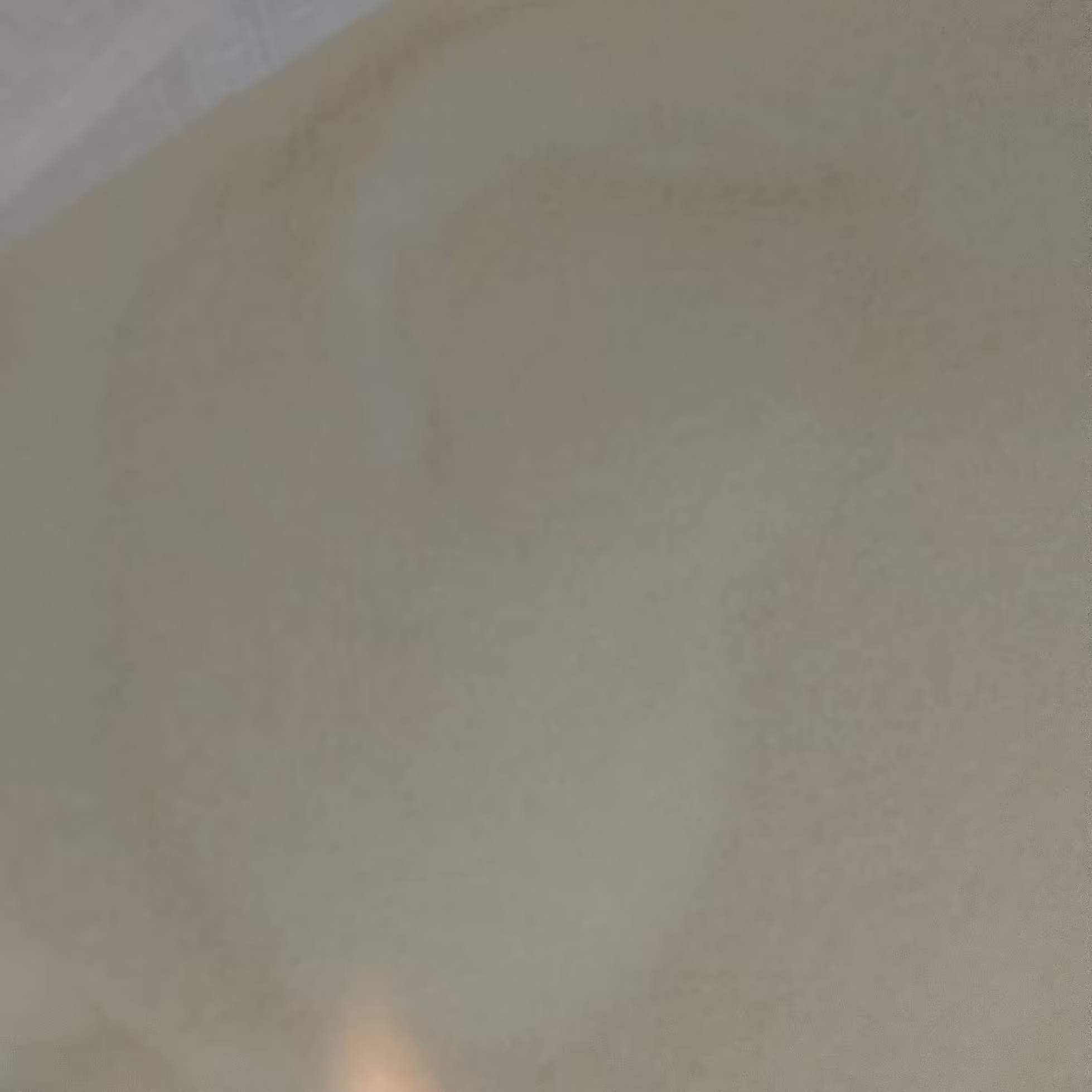 شکر سفید ( 1000 گرم )