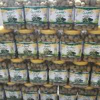 زیتون سوپر ویژه الفت پت ده کیلویی