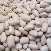 لوبیا سفید 1 کیلویی چهارمحال و بختیاری(برابری با قیمت مزرعه دار) .10 کیلو به بالا، سفارش پذیرفته میشود