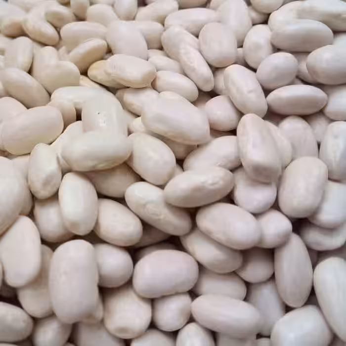 لوبیا سفید 1 کیلویی چهارمحال و بختیاری(برابری با قیمت مزرعه دار) .10 کیلو به بالا، سفارش پذیرفته میشود