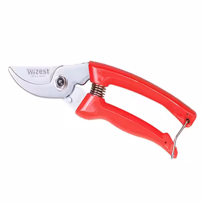 قیچی باغبانی مدل 4716 وایزست