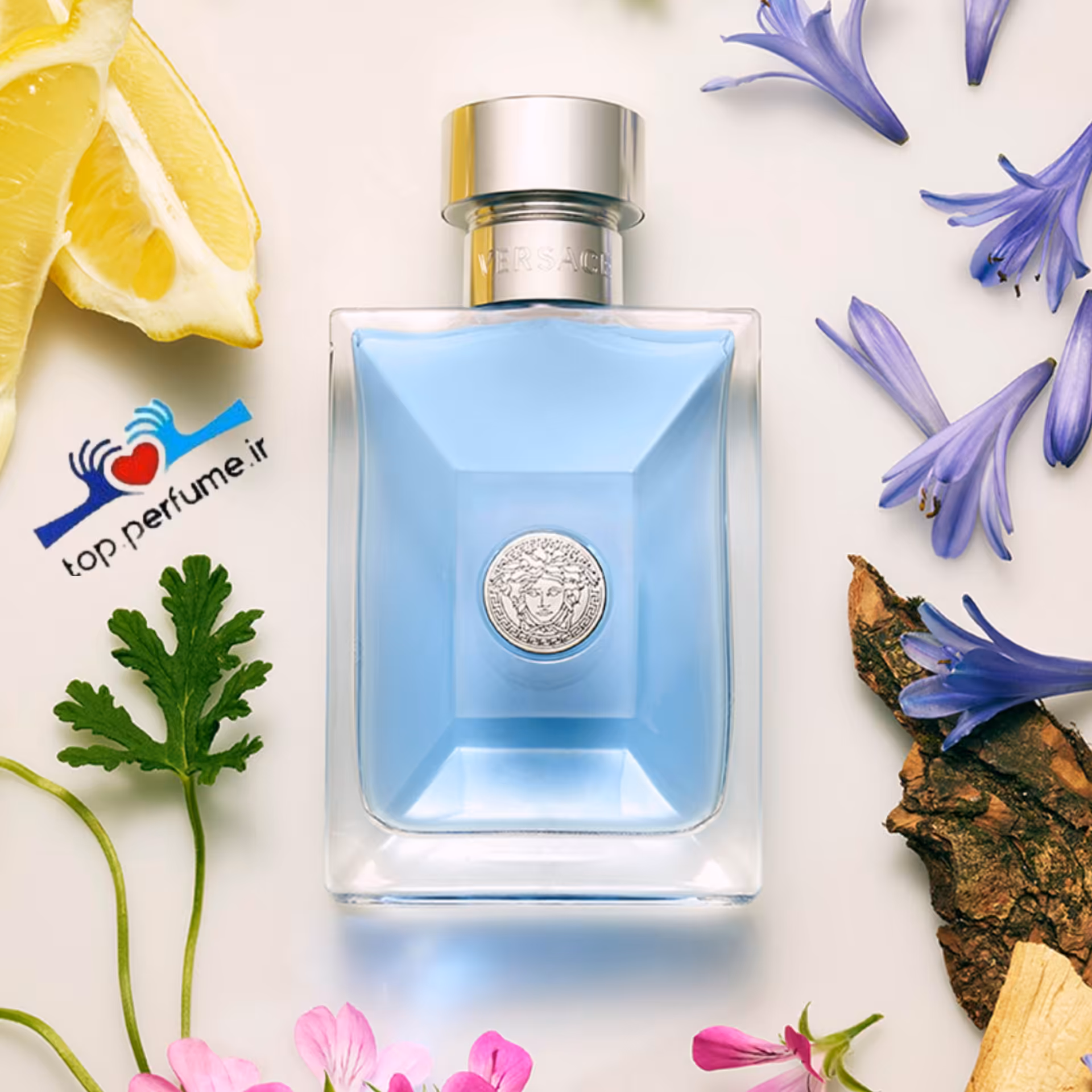 عطر ادکلن ورساچه پورهوم(ورساچه آبی)

عطری مردانه و محرک