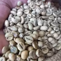 دانه قهوه سبز