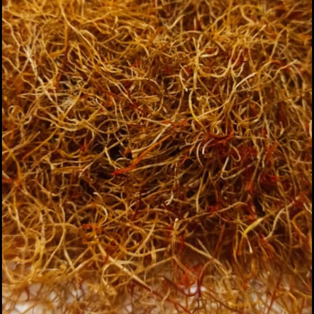 ریشه زعفران