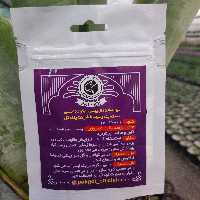 کود کاکتوس و گل دهی