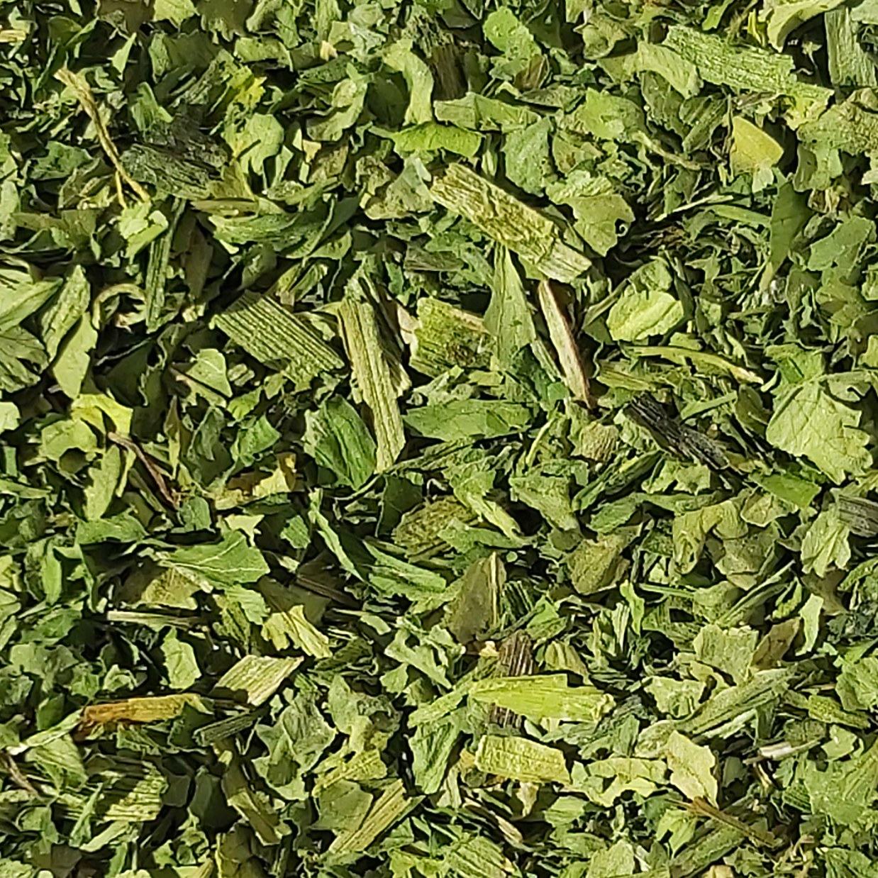 سبزی خشک پلو (فله 1 کیلویی) محصول برند صادراتی فردوس ناب