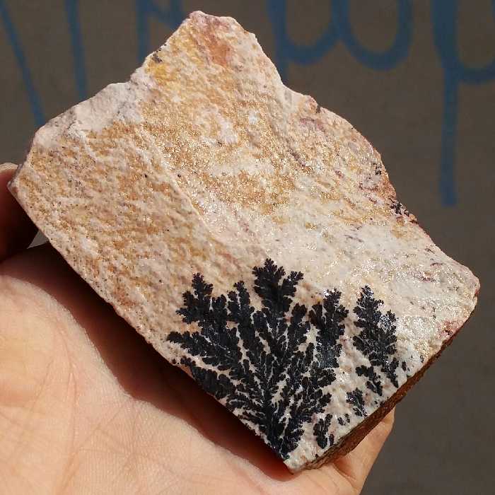 سنگ راف 100 در 100 طبیعی شجر دندریتی یا فسیلی درشت محشر  خاص شاهکار خلقت
شجر واضح خاص
تصویر از 4 طرف نمونه
کد11032