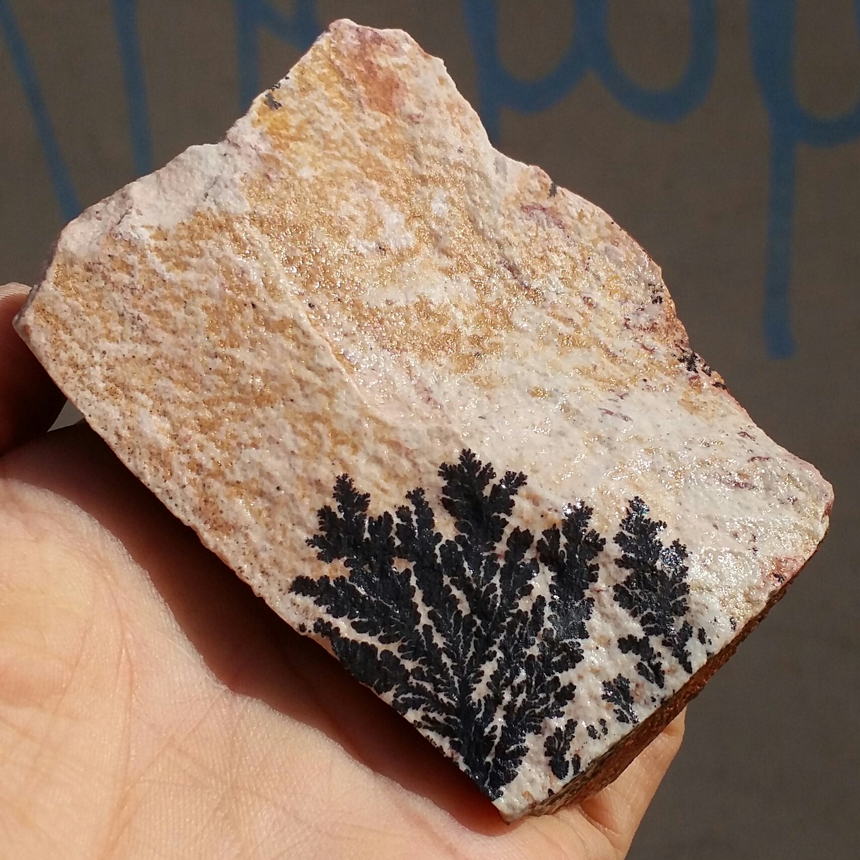 سنگ راف 100 در 100 طبیعی شجر دندریتی یا فسیلی درشت محشر  خاص شاهکار خلقت
شجر واضح خاص
تصویر از 4 طرف نمونه
کد11032