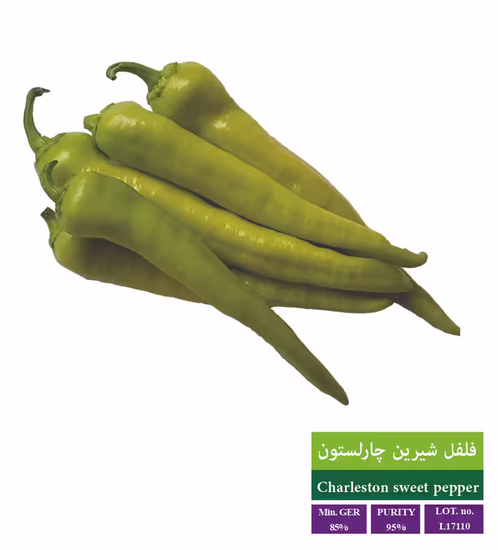 بذر فلفل شیرین چارلستون - بذر طلایی رویان