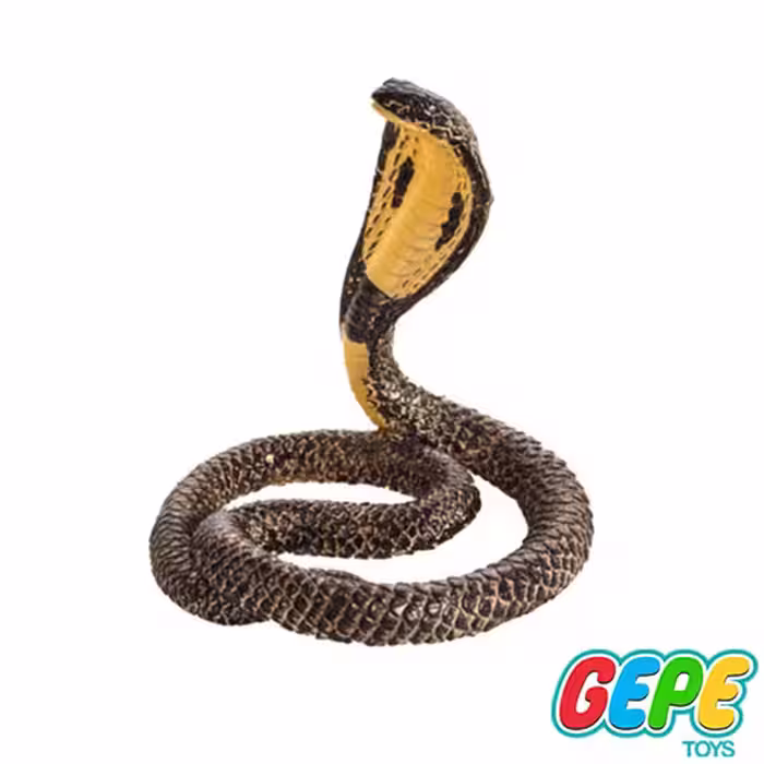 فیگور شاه کبرا