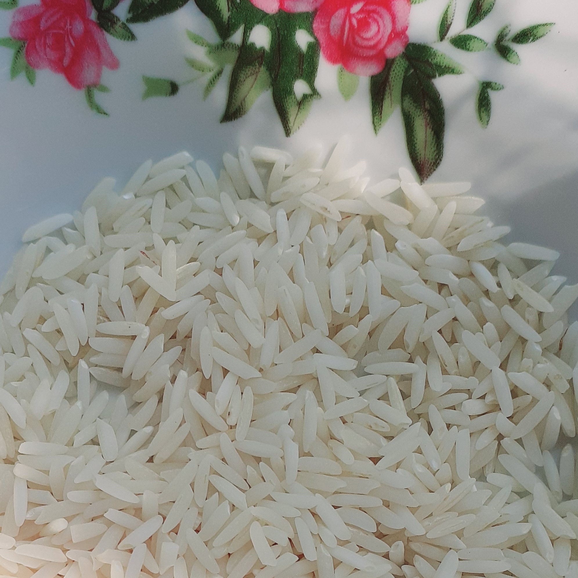 برنج هاشمی 20 کیلویی برنج ارگانیک برنج شمال برنج گیلان