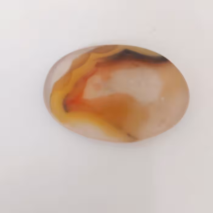 شجر مصور قاین سر عقاب