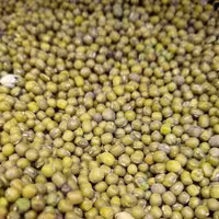 ماش نیم کیلویی