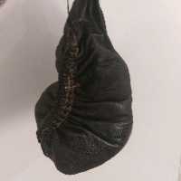 هیزه خیگ  کوردستان(یک تا 1.5لیتری)