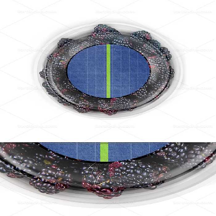 موکاپ بسته بندی تمشک PSD | گرافیک با طعم تربچه