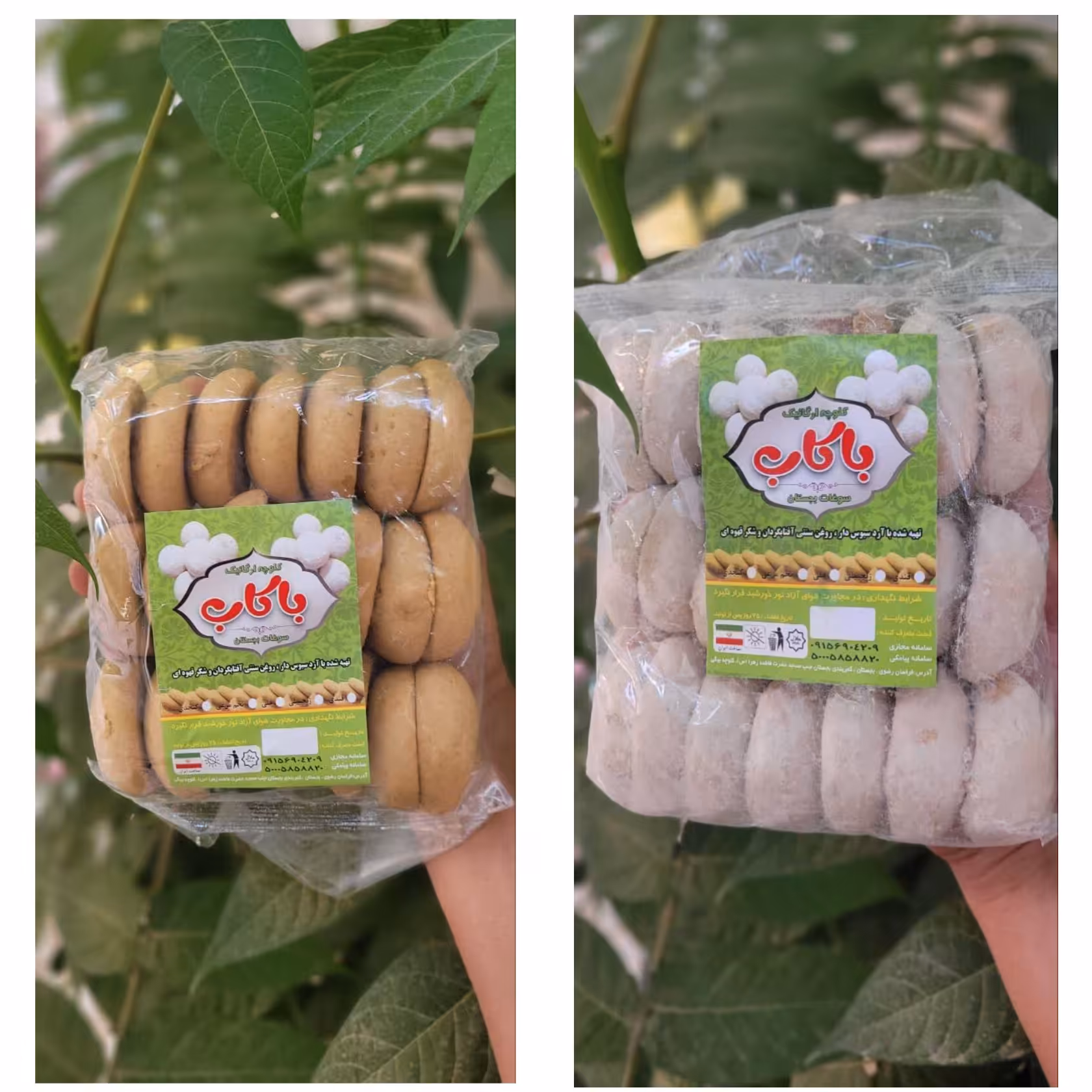 کلوچه  بجستان 100درصد طبیعی ارگانیک تضمیتی کیفیت و بسیار خوشمزه