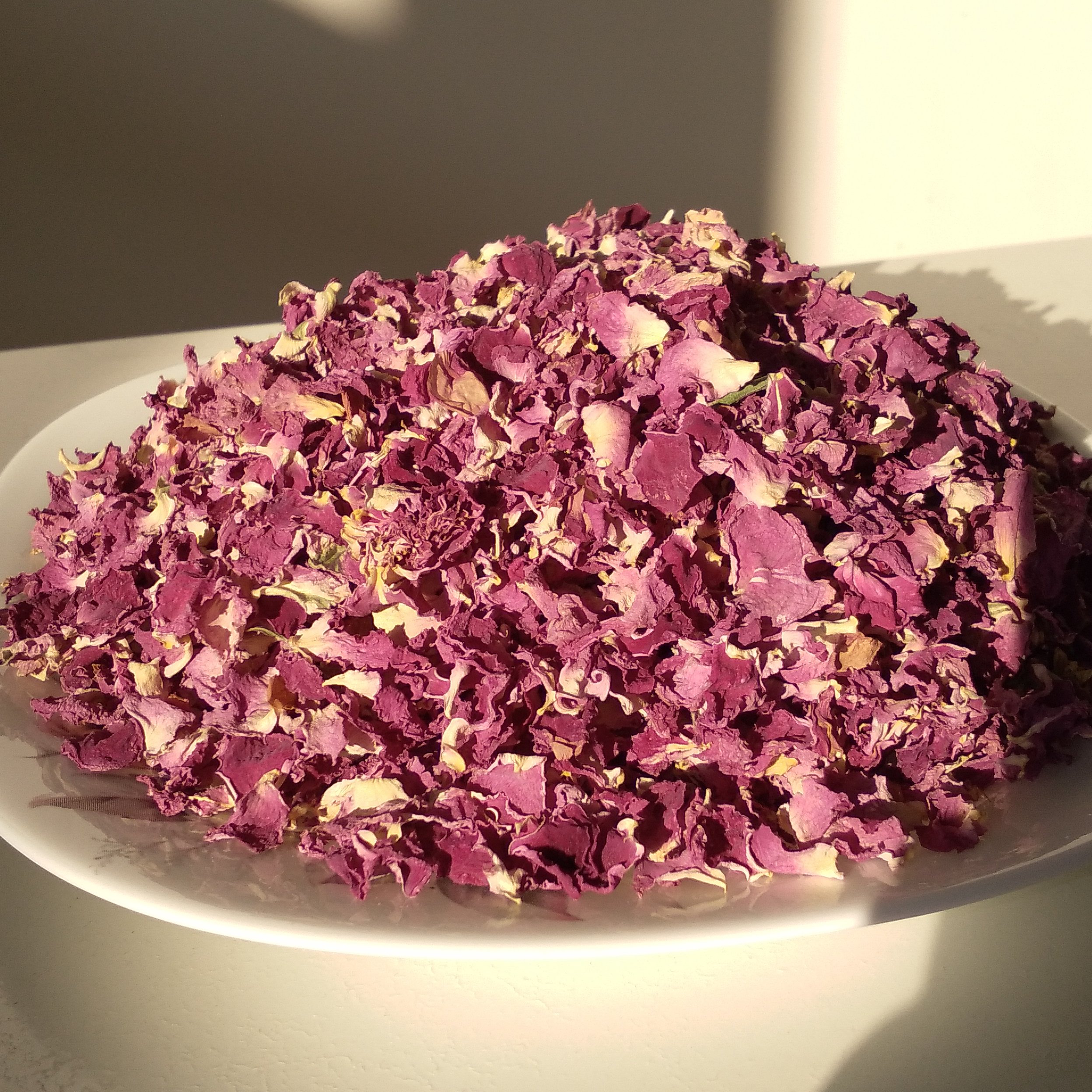 گل محمدی خشک شده