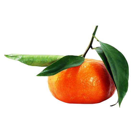نهال نارنگی کلمانتین