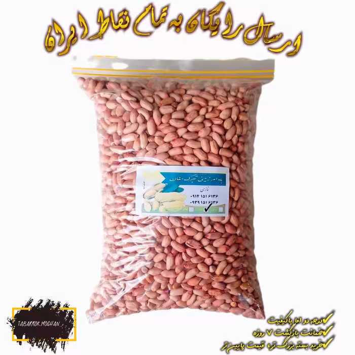بادام زمینی خام تبرک مغان درجه دو ( سایز متوسط رو به بالا مغز ) امسالی 5 کیلویی