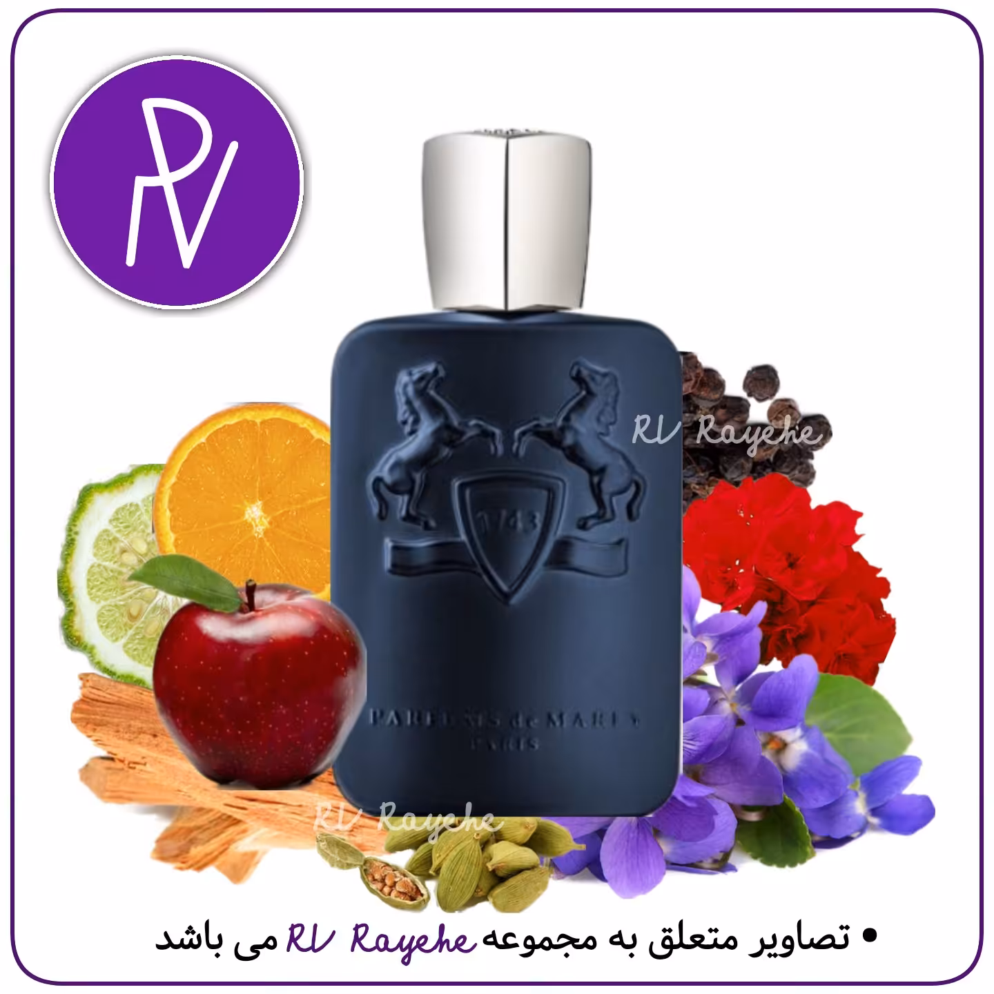 عطر مارلی لیتون Hi  1 میل (گرم تند گلی ) سویسی  فرانسوی -توضیحات مطالعه گردد.آروی رایحه  RVrayehe  ادکلن دمارلی لیتون 
