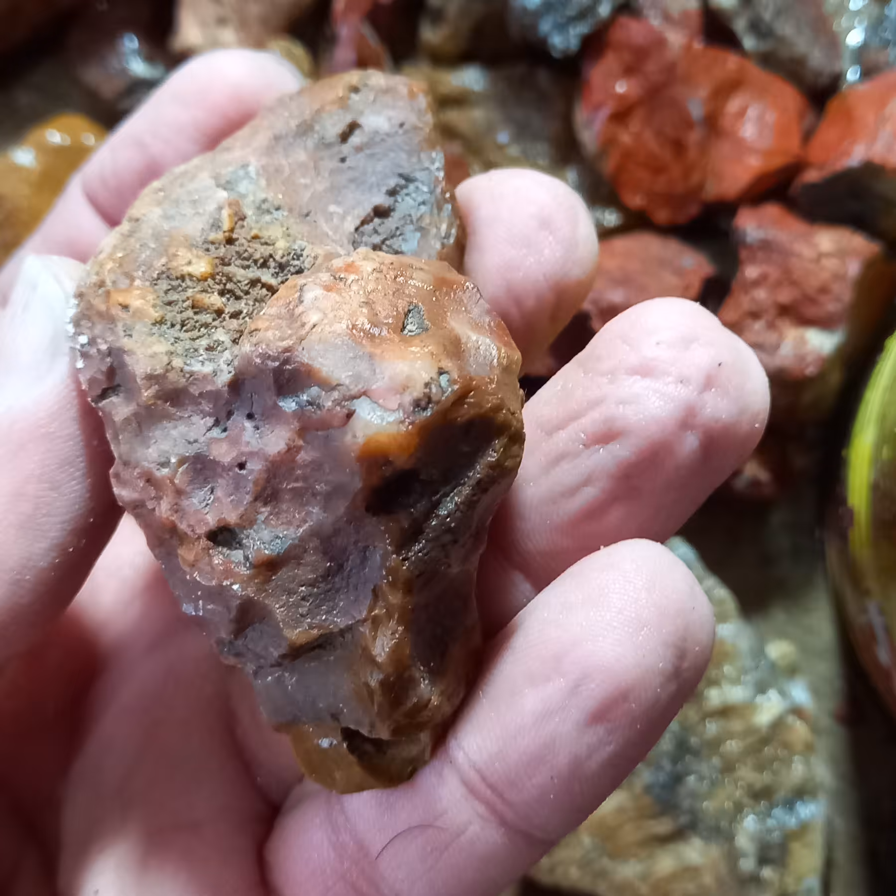 عقیق راف  شجر 