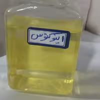 اینوکتوس .