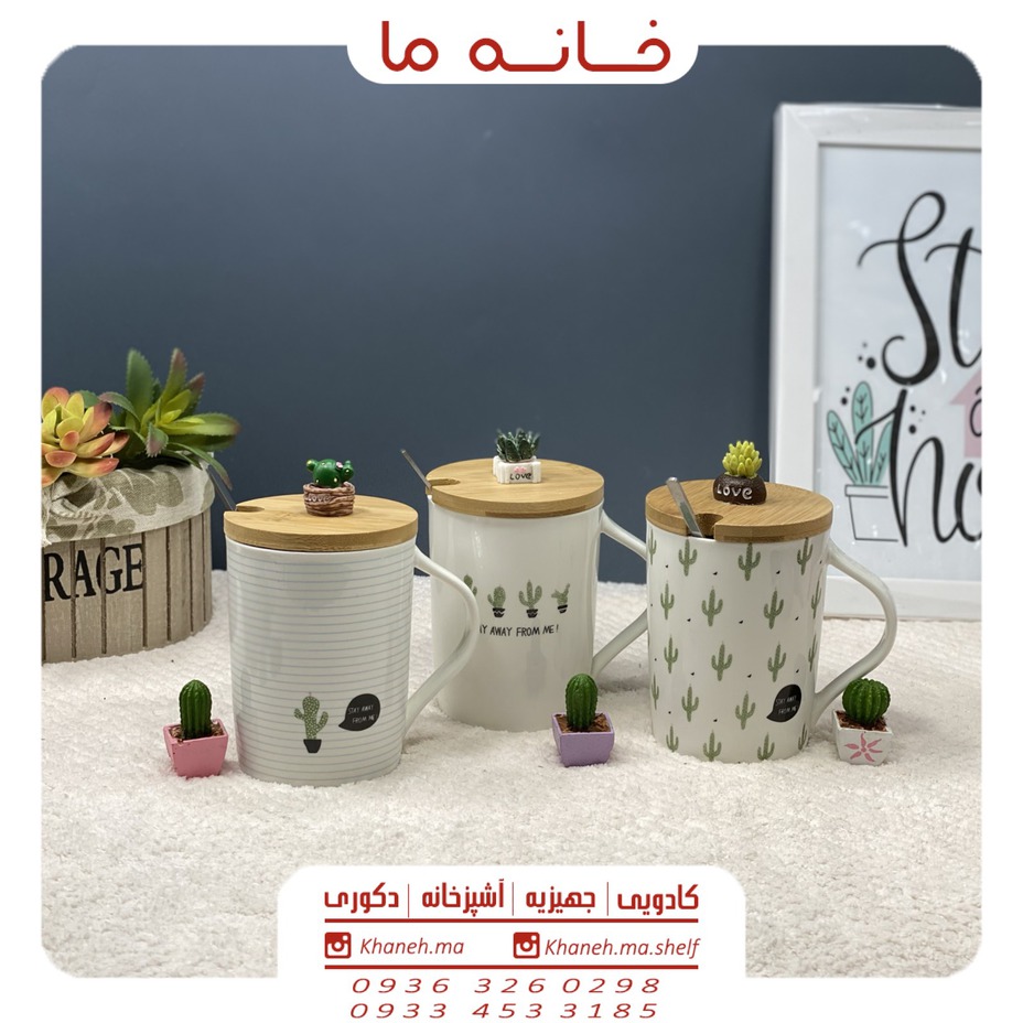 ماگ فانتزی کاکتوس مدل kh15