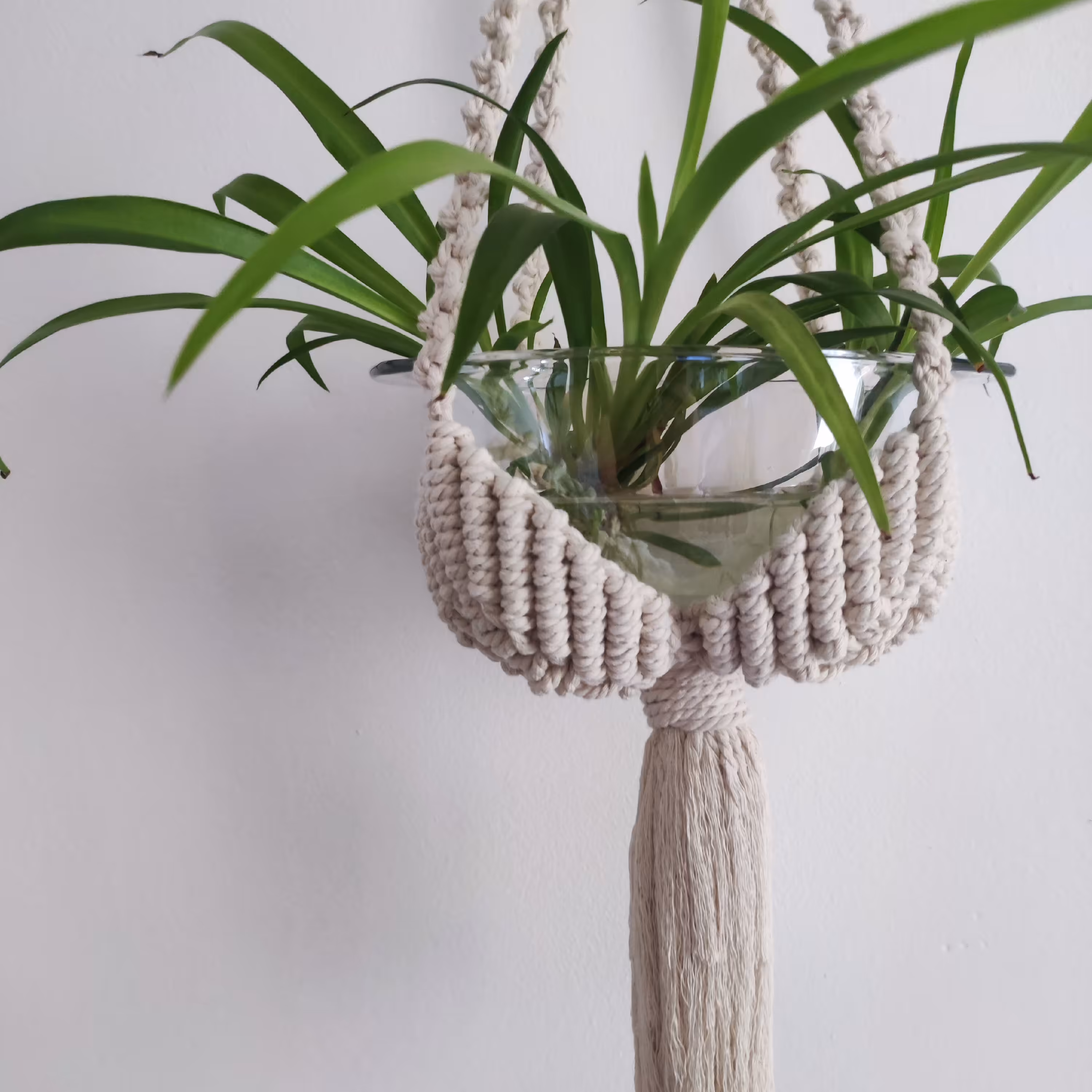 آویز گلدان مکرومه