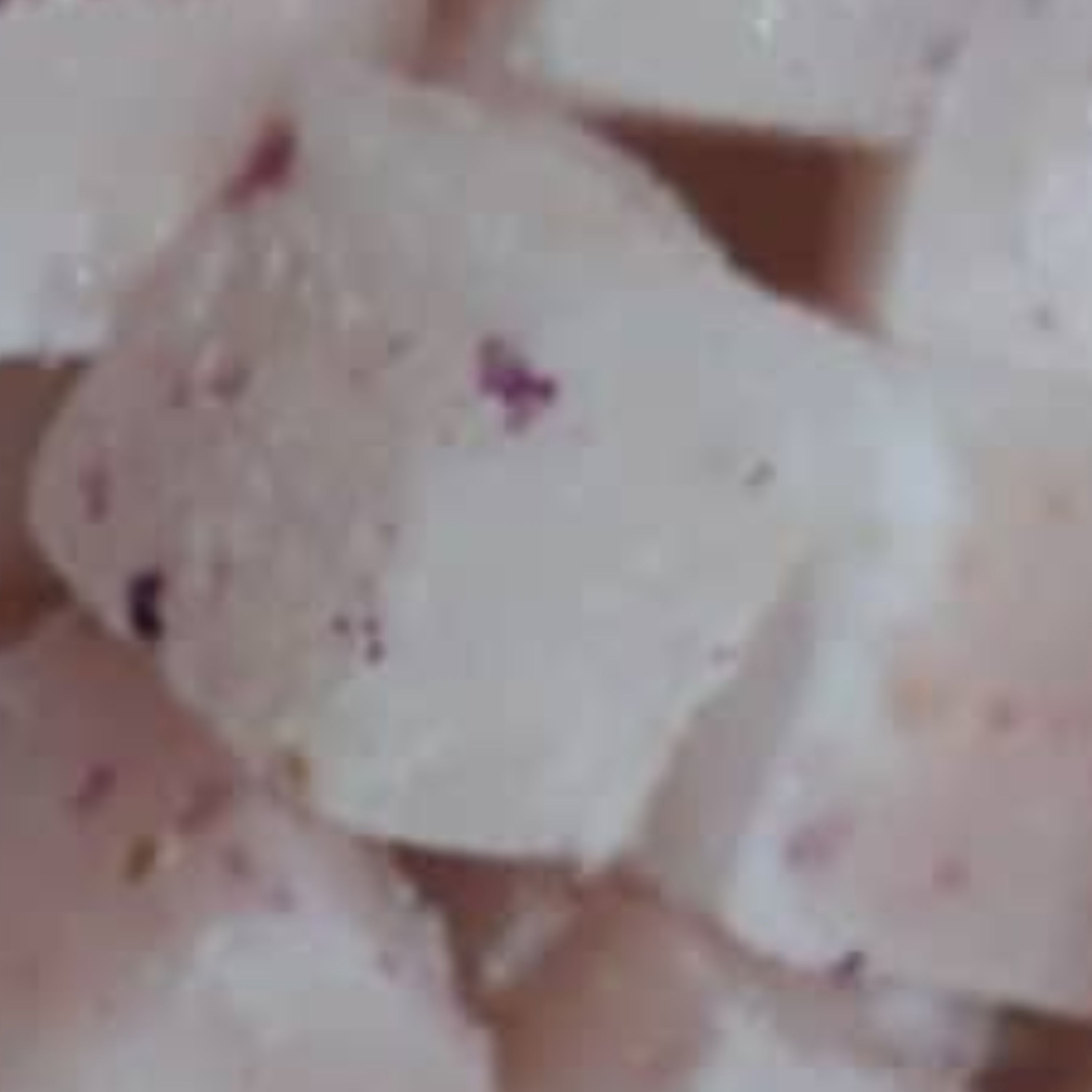 پولکی رسی حبه ای گل محمدی 300 گرمی