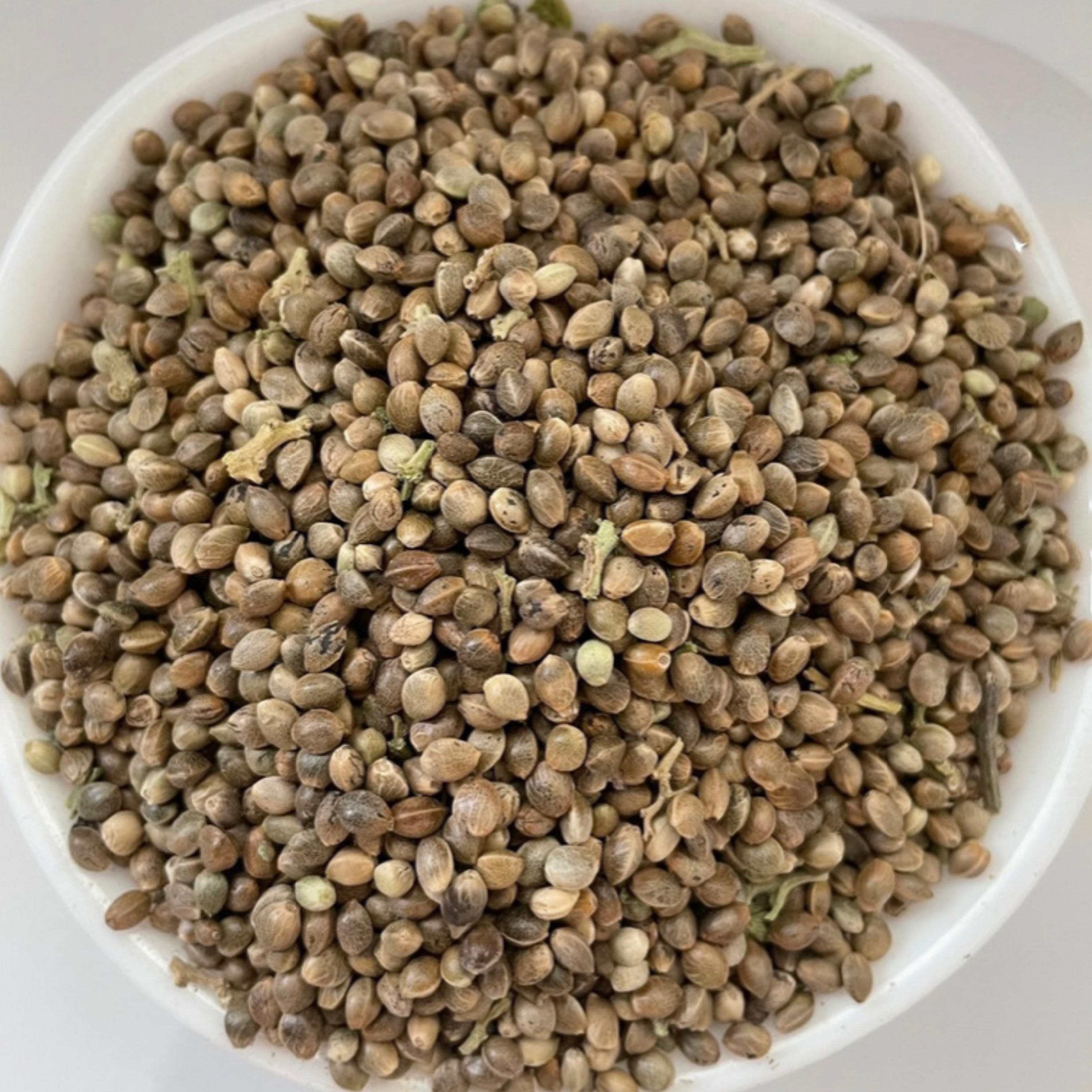 شاهدانه تازه امسالی درجه 1 
